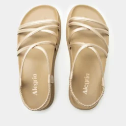 Audie Champagne Sandal 10 Audie Champagne Sandal -ALEGRIA SHOES SALE ADE 6507 S4 14f4a9df cdc9 448b 88c5 1fc9658c5896